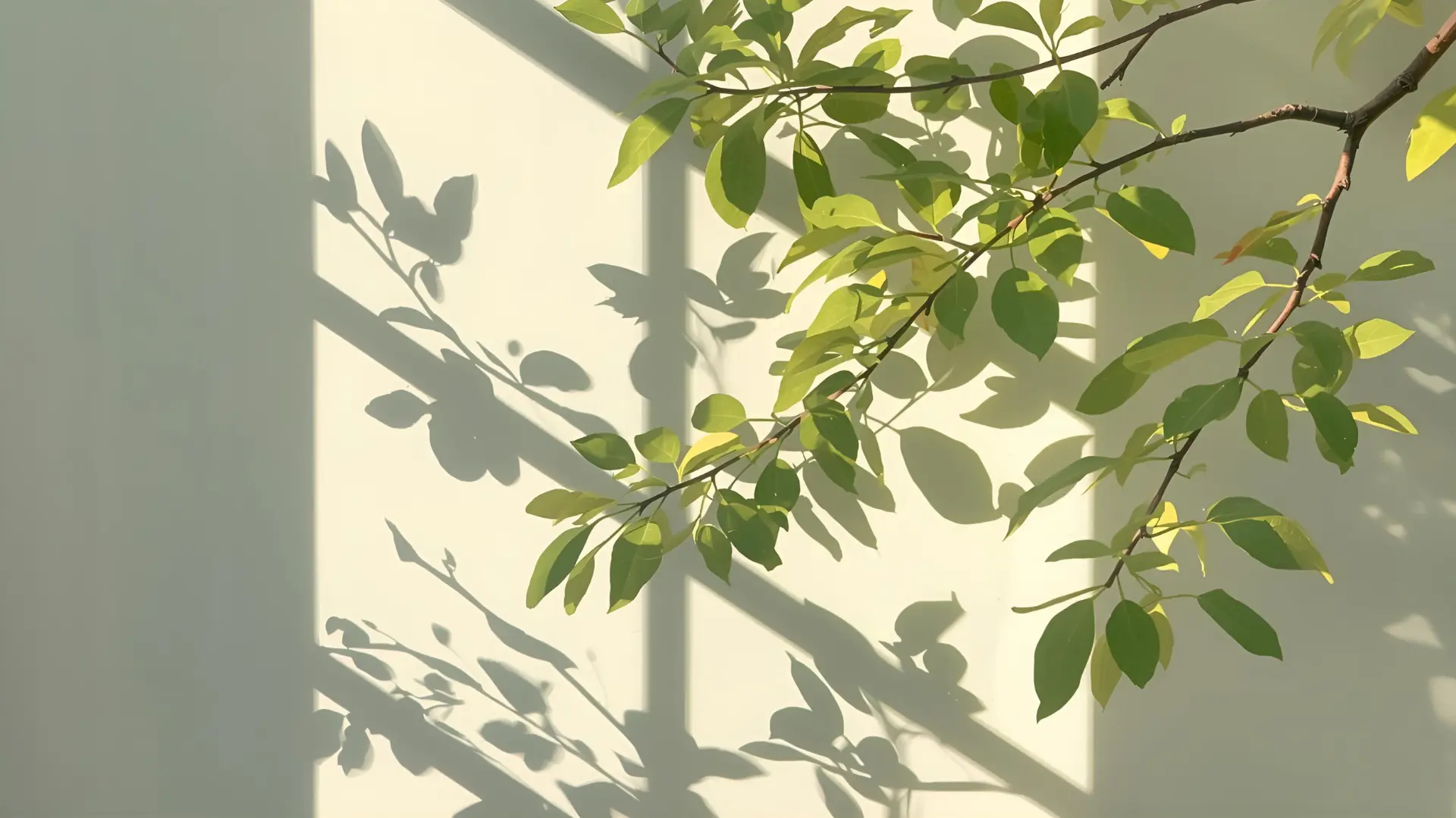 what is doomscrolling and how to stop - Sunlit leaves casting soft shadows, window—presence, simplicity, breath
